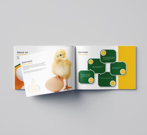Company profile design for a south african egg company